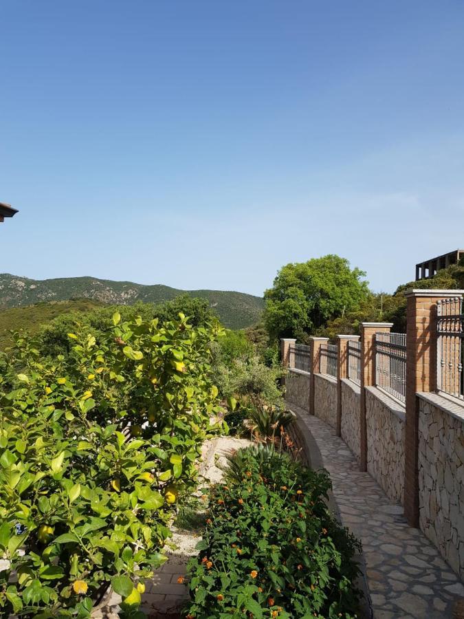 "La Pavoncella" Chia - Domus De Maria Villa Exterior photo