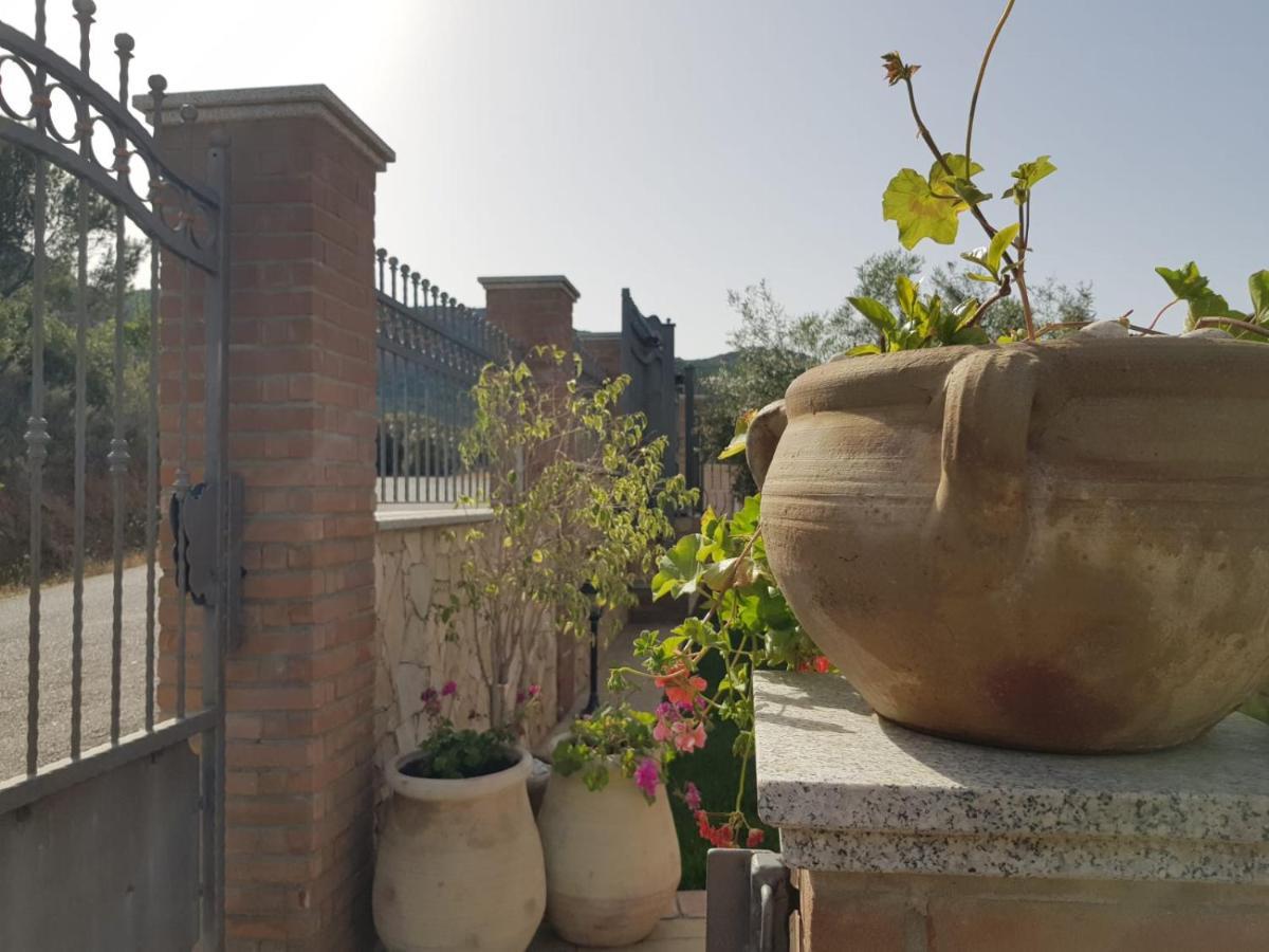 "La Pavoncella" Chia - Domus De Maria Villa Exterior photo